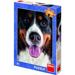 Puzzle Chlupatý pes 300 XL dílků - Dino