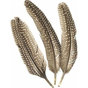 Dekorativní peříčka bažantí - kropenatá 8 ks / 1 5- 20 cm