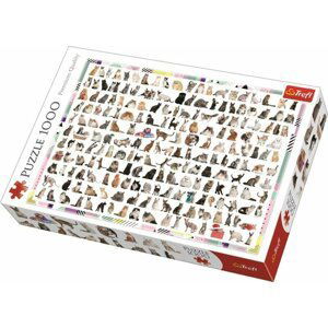 Trefl Puzzle 208 koček / 1000 dílků