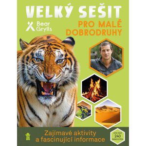 Velký sešit pro malé dobrodruhy - Bear Grylls