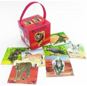 Safari - pexeso v krabičce s úchopem