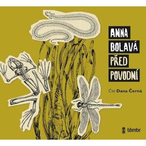 Před povodní - audioknihovna - Anna Bolavá