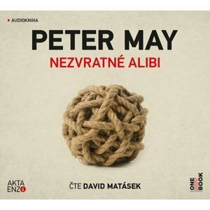 Nezvratné alibi - CDmp3 (Čte David Matásek) - Peter May