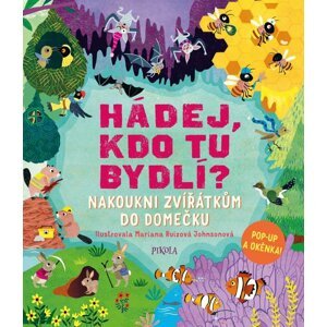 Hádej, kdo tu bydlí?: Nakoukni zvířátkům do domečku - Ruth Symons