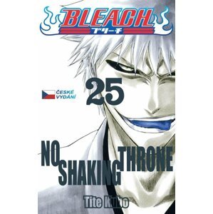 Bleach 25: No Shaking Throne - Noriaki Kubo