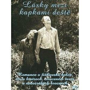 Lásky mezi kapkami deště - DVD pošeta