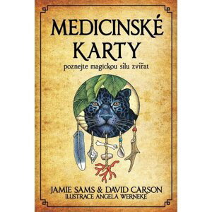 Medicinské karty - Poznejte magickou sílu zvířat - Kniha + 52 karet - David Carson