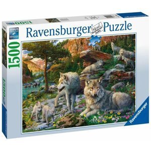 Ravensburger Puzzle - Jarní vlci 1500 dílků