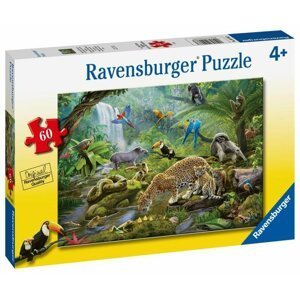 Ravensburger Puzzle - Obdivovatelé deštného pralesa 60 dílků