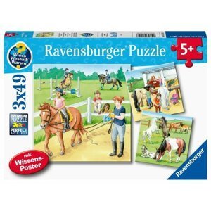 Ravensburger Puzzle - Koně 3 x 49 dílků
