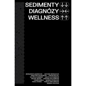 Sedimenty diagnózy wellness - autorů kolektiv