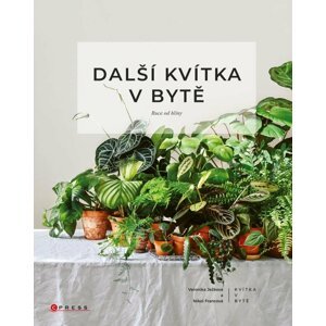 Další kvítka v bytě: Ruce od hlíny - Nikol Francová