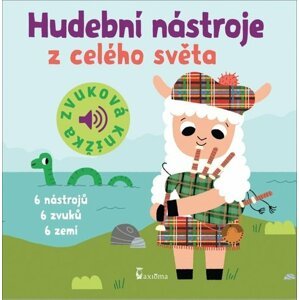 Hudební nástroje z celého světa - Zvuková knížka - Marion Billet