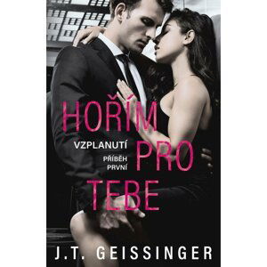 Hořím pro tebe - T. J. Geissinger