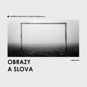 Obrazy a slova - Jindřiška Netrestová