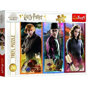 Puzzle Ve světě magie a čarodějnictví/Harry Potter 200 dílků 48x34cm v krabici 33x23x4cm - Trigano