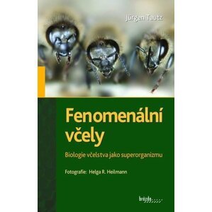 Fenomenální včely - Biologie včelstva jako superorganizmu - Jürgen Tautz