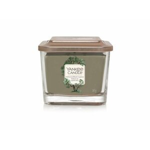 YANKEE CANDLE Vetiver & Black Cypress svíčka 347g, 3 knoty