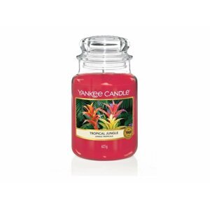 YANKEE CANDLE Tropical Jungle svíčka 623g