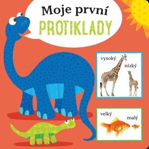 Moje první protiklady - autorů kolektiv