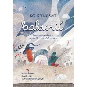 Kouzelný svět bakterií - Dobrodružství Prvíků, nejmenších tvorečků na zemi, 1.  vydání - Josef Lhotský