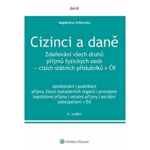 Cizinci a daně, 6.  vydání - Magdaléna Vyškovská