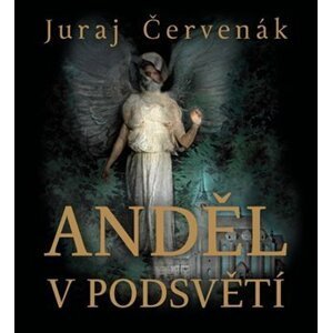 Anděl v podsvětí - CDmp3 (Čte Marek Holý) - Juraj Červenák