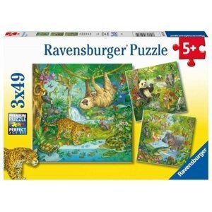 Ravensburger Puzzle Zvířata v džungli 3x49 dílků