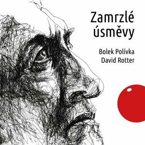 Zamrzlé úsměvy - audioknihovna - David Rotter