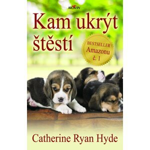 Kam ukrýt štěstí - Catherine Ryan Hyde