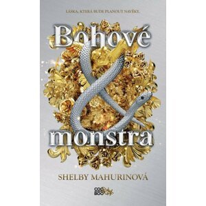 Bohové a monstra - Shelby Mahurin