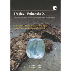 Břeclav - Pohansko X. Sídelní areál na Severovýchodním předhradí - Adéla Balcárková