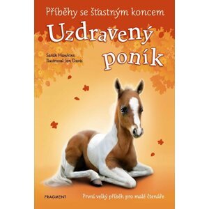 Příběhy se šťastným koncem - Uzdravený poník - Sarah Hawkins