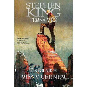 Temná věž 10 - Pistolník 5: Muž v černém - Peter David