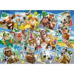 Wooden City Puzzle Zvířecí pohlednice 2v1, dřevěné, 505 dílků