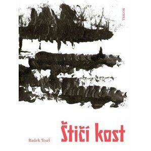 Štičí kost - Radek Touš