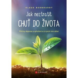 Jak neztratit chuť do života - Příčiny deprese a vyhoření a co proti nim dělat - Klaus Bernhardt