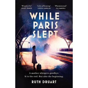 While Paris Slept - Ruth Druart