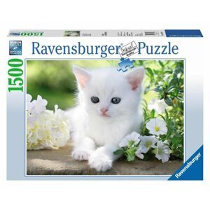 Ravensburger Puzzle - Bílé kotě 1500 dílků