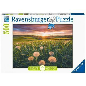 Ravensburger Puzzle - Pampelišky v západu slunce 500 dílků