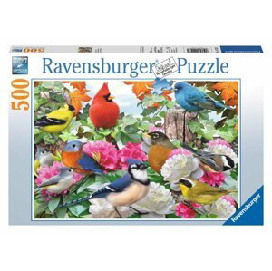 Ravensburger Puzzle - Ptáci na zahradě 500 dílků