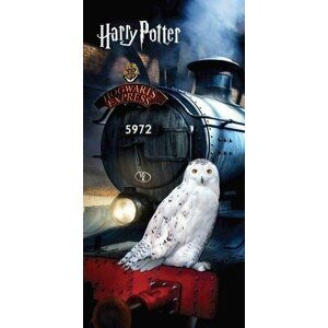 Bavlněná osuška Harry Potter Bradavický expres 70 x 140 cm