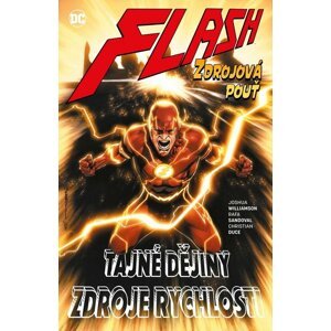 Flash 10 - Zdrojová pouť - Joshua Williamson