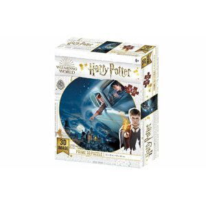 Harry Potter 3D puzzle - Harry a Ron letící na Bradavicemi 300 dílků -  3D Puzzle SPA
