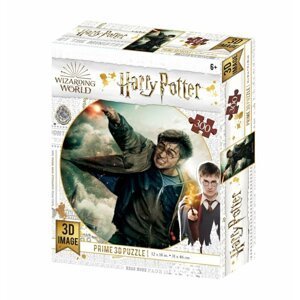 Harry Potter 3D puzzle - Harry Potter 300 dílků