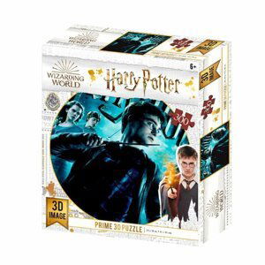 Harry Potter 3D puzzle - 300 dílků -  3D Puzzle SPA