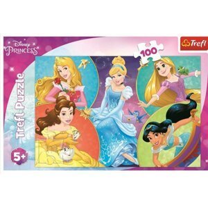 Puzzle Poznejte sladké princezny/Disney Princess 100 dílků 41x27,5cm v krabici 29x19x4cm