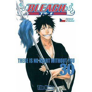 Bleach 30: There Is No Heart Withnout You - Noriaki Kubo