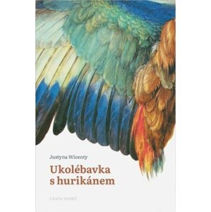 Ukolébavka s hurikánem - Justyna Wicenty