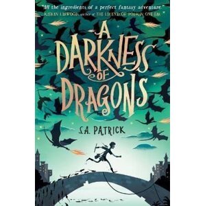 A Darkness of Dragons - S. A. Patrick